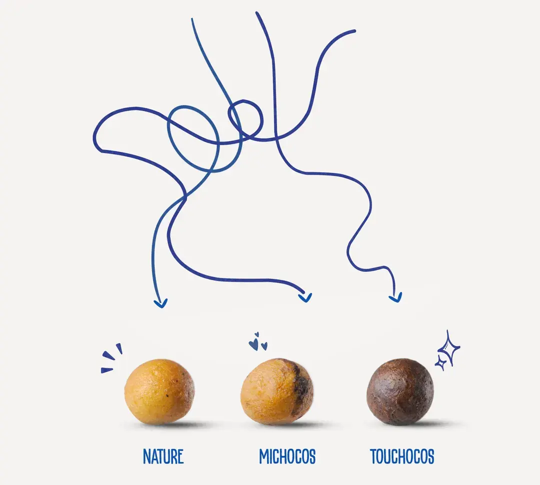 Trois gbos : nature, michocos, touchocos